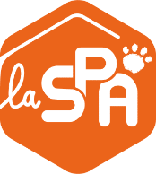 Logo SPA